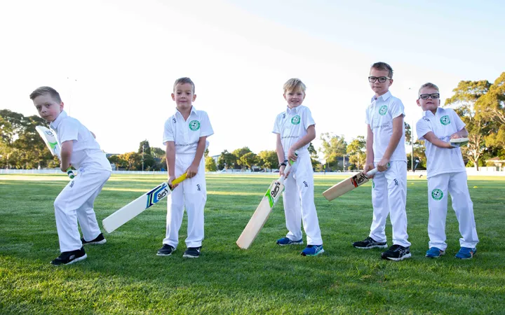 Cricket Star Academy: Maitland business for sale in Maitland, NSW 2320