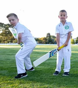 business for sale Cricket Star Academy banner